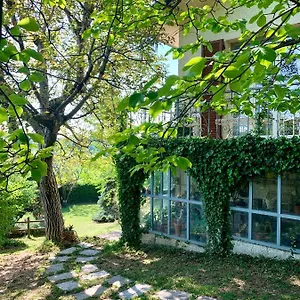 Chicco Di Oliva Padenghe sul Garda